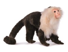 HANSA Real Stuffed Capuchin Monkey No.5851 20...