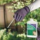 Bonide 2746 Stump & Vine Killer Concentrate 37321002741