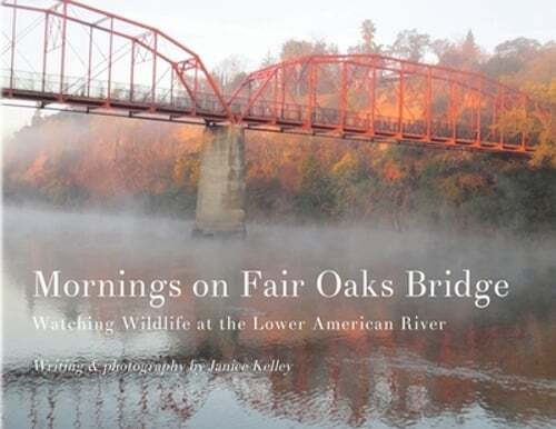 Discover Wildlife at Lower American River on Mornings at Fair Oaks Bridge