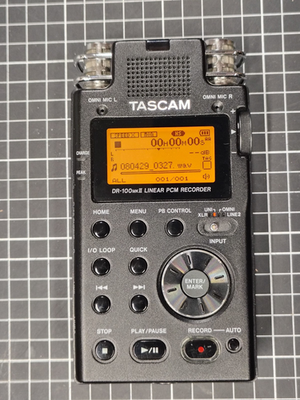 Tascam DR-100MKII 2-Channel Portable Digital Audio Recorder