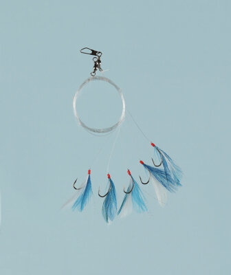 FLADEN Blue Flash Feathers Rig, Heringsvorfach, Größe 8 bis 1/0, 5 Haken Makrele