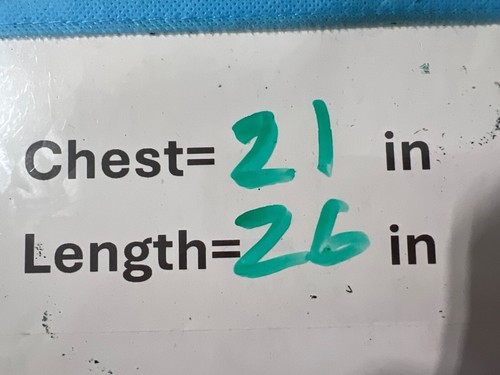 Under Armour Fitted HeatGear Athletic T-Shirt Damen XL Kurzarm Athleisure - Bild 6 von 7