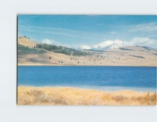 Postcard Swan Lake On  Swan Lake Flat Yellowstone National Park Wyoming
