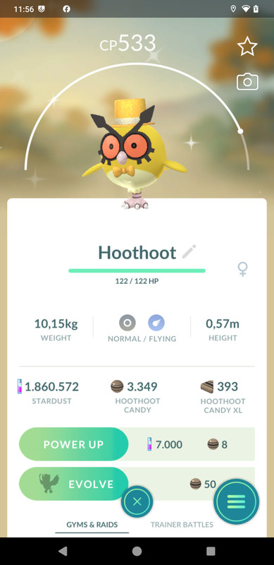 Shiny Hoothoot New Year Party Hat Costume- 20k dust