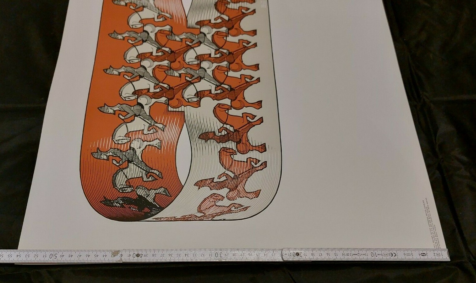 Picture 5 of 6