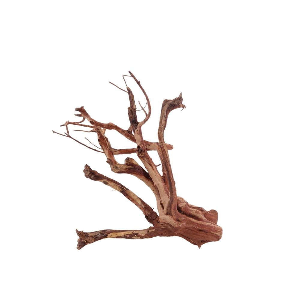 Decorazione Radice Acquario Flowerwurzel Aquascaping Legno Di Mangrova M Nr.4063 foto 4