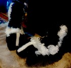2 Skunk 11” by Wild Republic plush stuffed animal toy nocturnal — photo 7