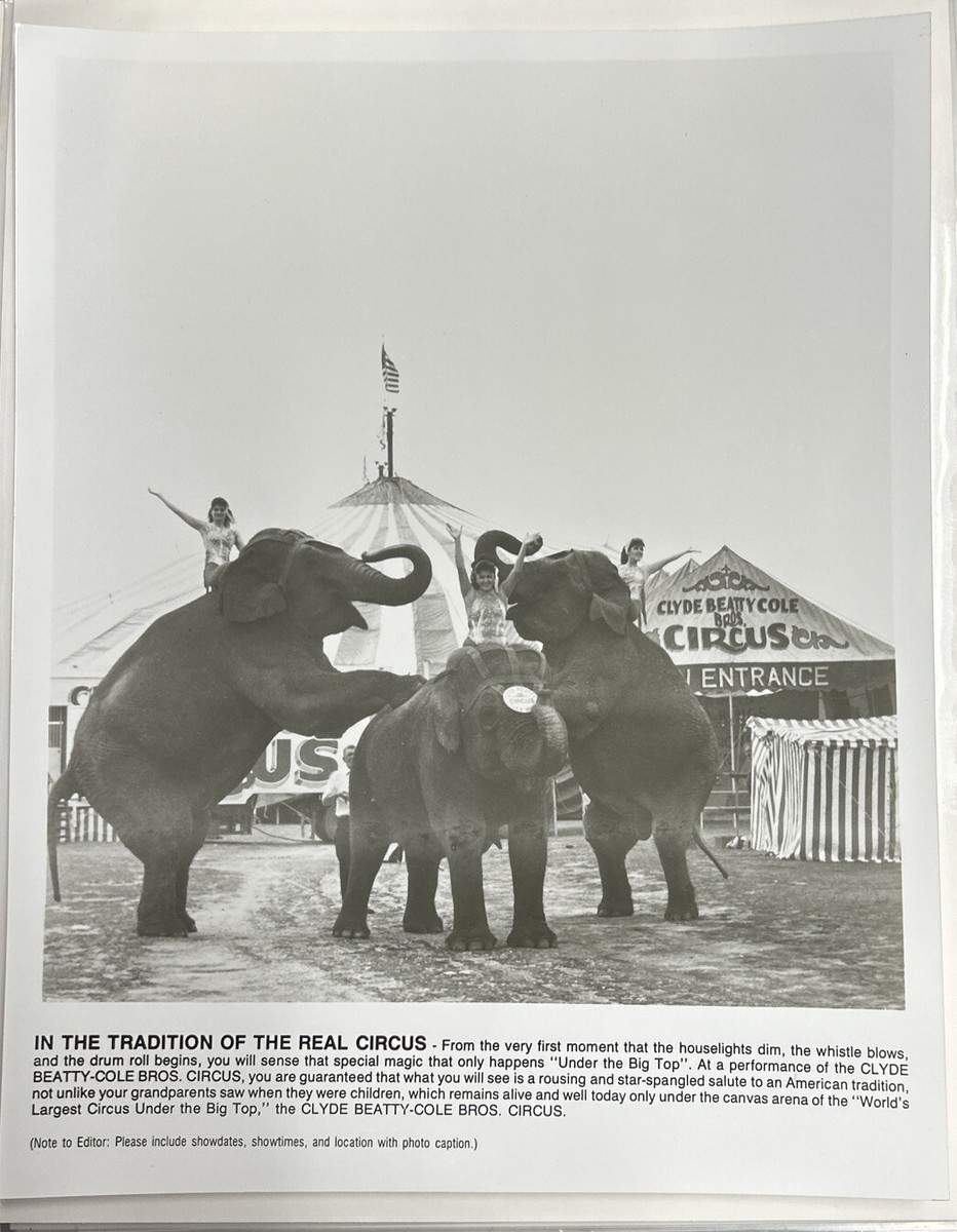 Vintage 8x10 Black & White Circus Photo In The Tradition Of The