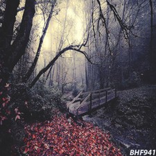 outdoor 10'x10'Computer-painted CP Vinyl Scenic Photo Background Backdrop BHF941