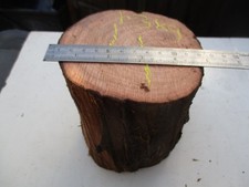 YEW log exotic   hardwoods,  ,for  spindle turning/pen blank/inserts no 4