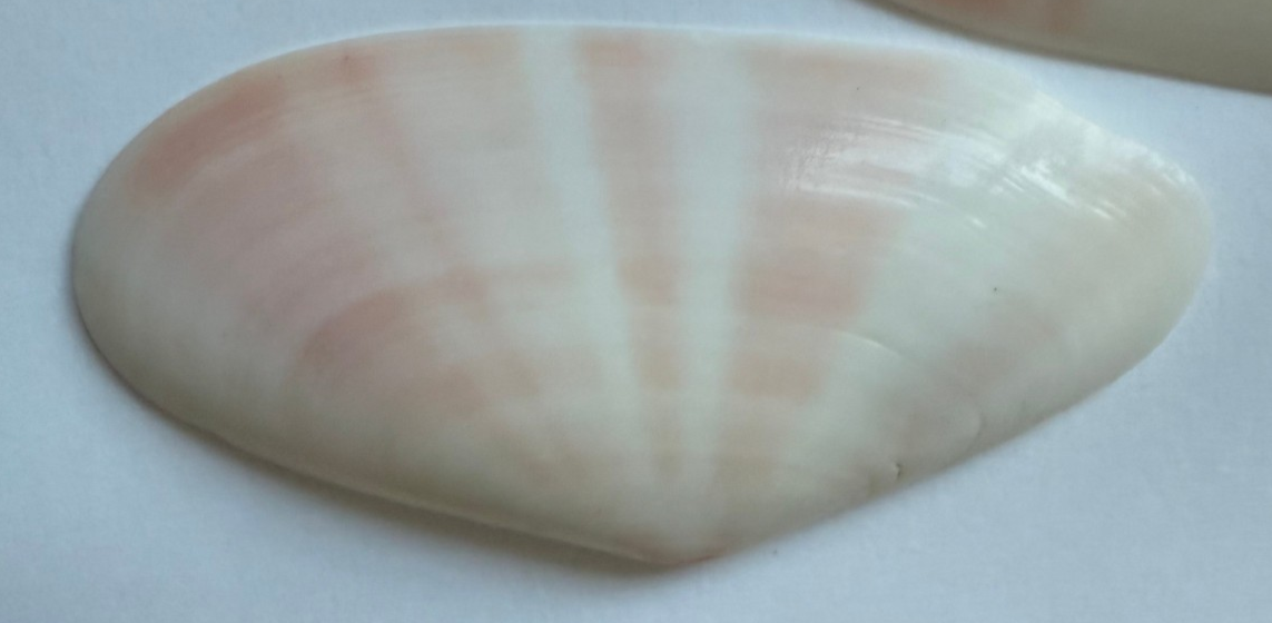 Foto 2 di 10