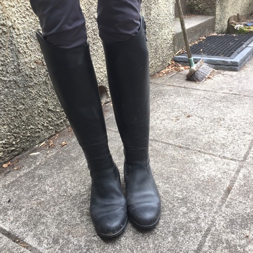 ariat long riding boots eBay