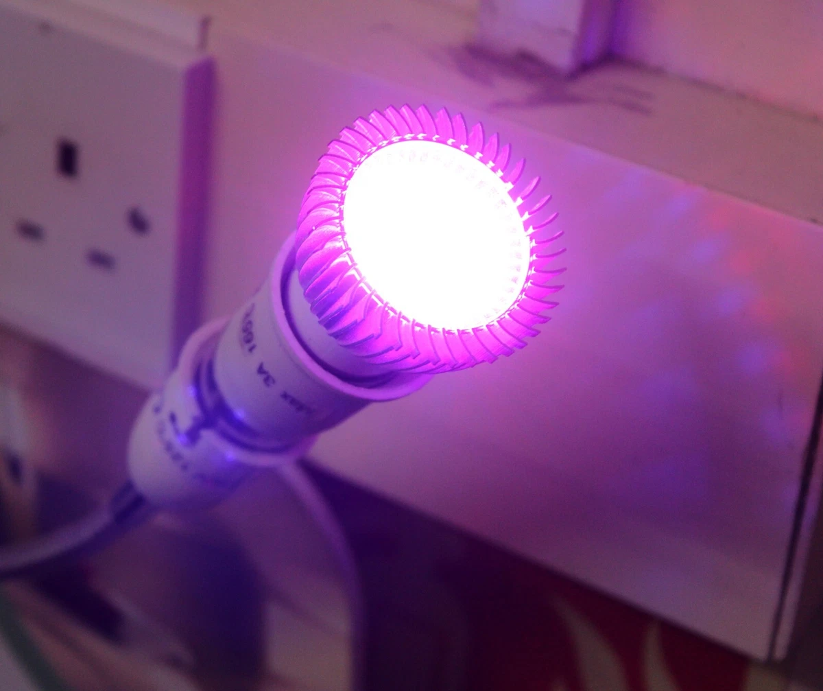 Purple led spotlight bulb deals