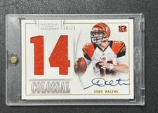 2013 National Treasures Colossal Andy Dalton Auto /25 Jersey Bengals Panthers