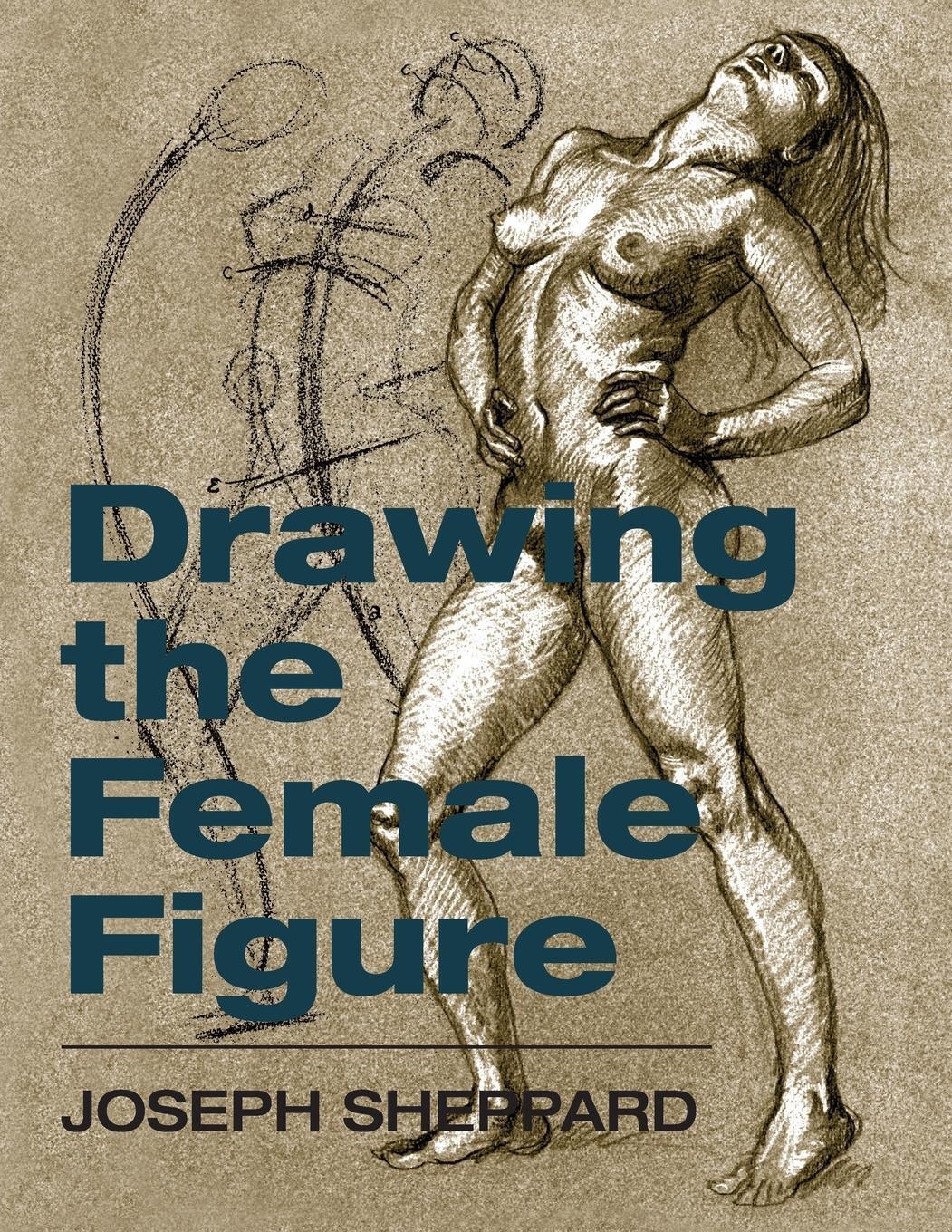 Thumbnail - Drawing The Female Figure | Joseph Sheppard | Taschenbuch | Paperback