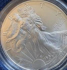 2015 American Eagle One Ounce Uncirculated Coin OGP COA