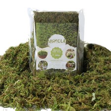8 OZ 225gr Fake Moss for Potted Plants Artificial Moss for DIY Crafts Decor