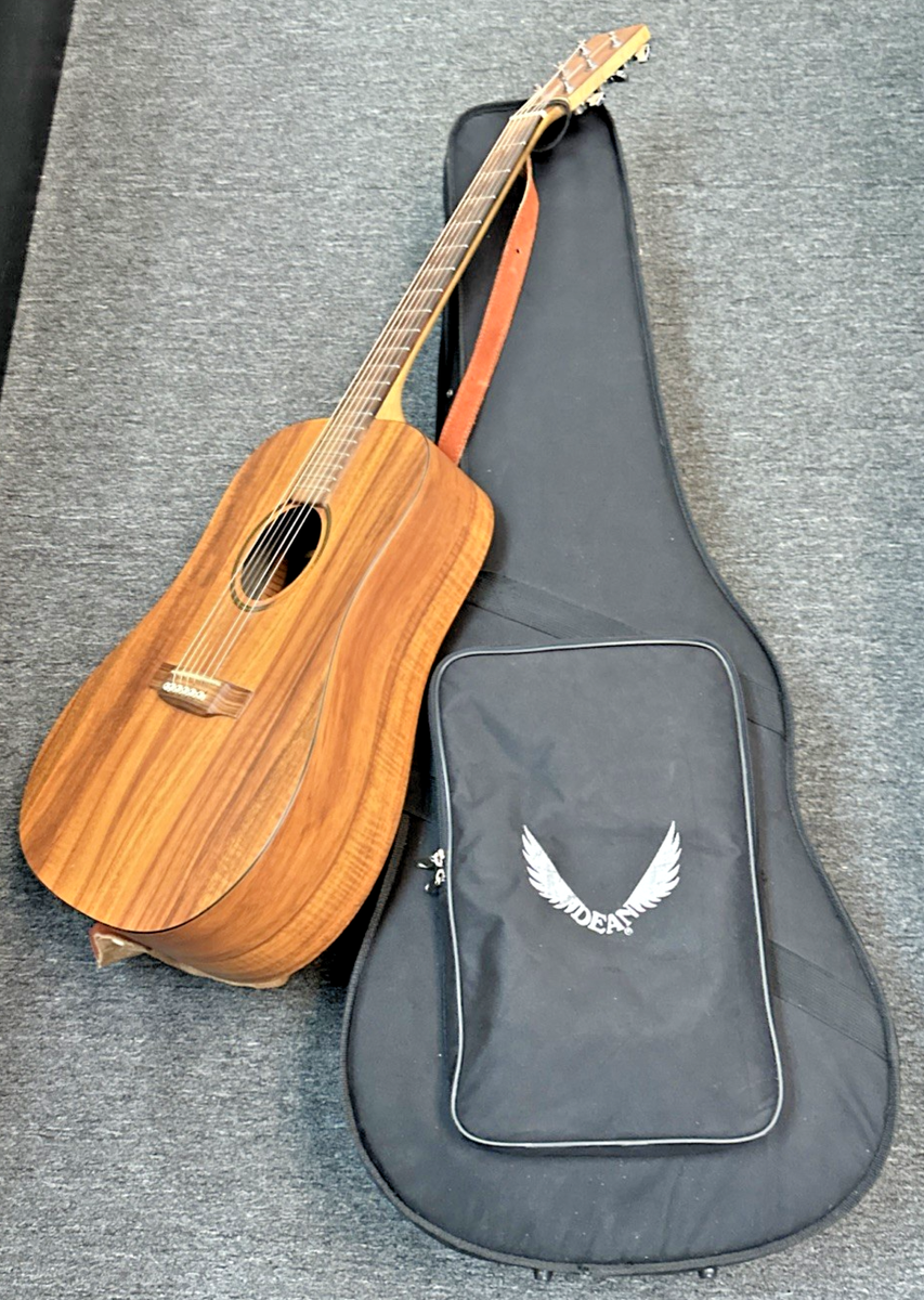 Martin DX1 Dreadnought Acoustic Guitar with Hard Case | eBay