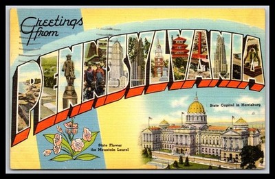 Greetings from Pennsylvania State Flower, The Mountain Laurel - Old Postcard G11