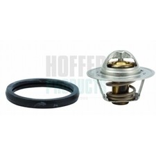 Thermostat Rover 220