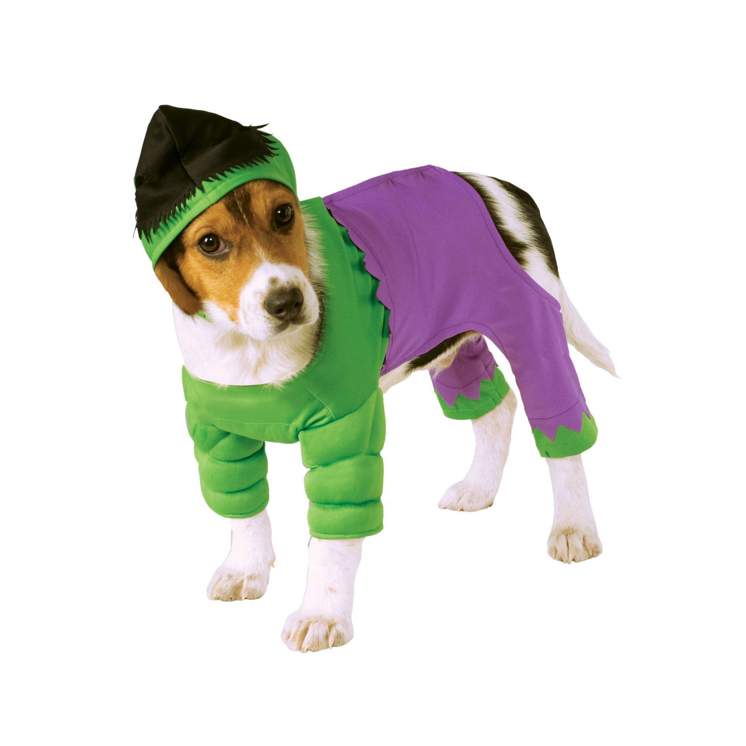 Hulk Disfraz para Perros Incredible de Hulk Músculos (BN5764)