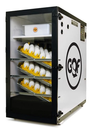 GQF Manufacturing Co. 1502 - Digital Sportsman Cabinet Incubator AU