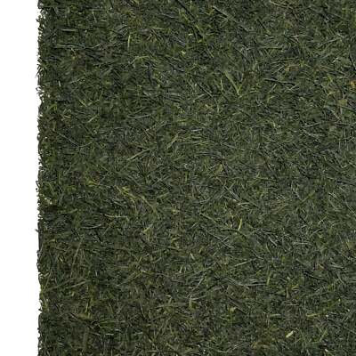 Nibelungentee Japan Gyokuro Asahi 100g - Grüntee (261,00  /kg)