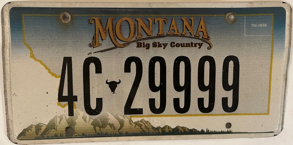 QUADRUPLE digit 9 9999 license plate repeating number Triple 999