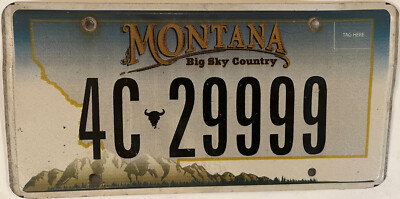 QUADRUPLE digit 9 9999 license plate repeating number Triple 999 4C 29999 MT