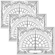 Palace Learning 3 Pack - Family Tree Chart To Fill In- 6 Generation 18 x 24