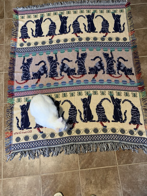 Kitty Approved  Vintage Throw Blanket 60  X  49  Reversible