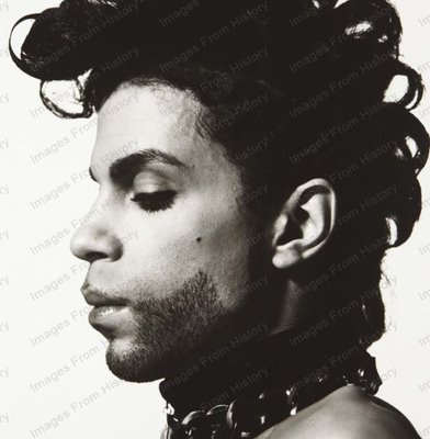 8x10 Print Prince Profile Portrait Music Legend #PRIN | eBay