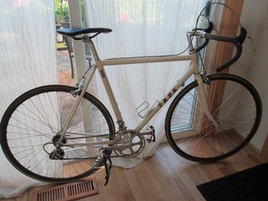 trek 2000 bike