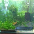Bild 8 von 8