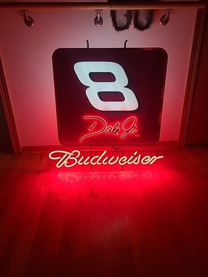 2003 Dale Earnhardt Jr #8 BUDWEISER Neon 30