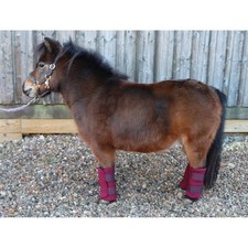 Ruggles Shetland-Miniature-Donkey Triple Layer Wicking Leg Wrap Set