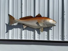 40" Redfish Half Fish Mount Replica - Quick Production