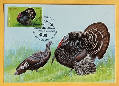 Maximum Card. Fauna/ Birds/ The Domestic Turkey (Meleagris gallopavo). Moldova 