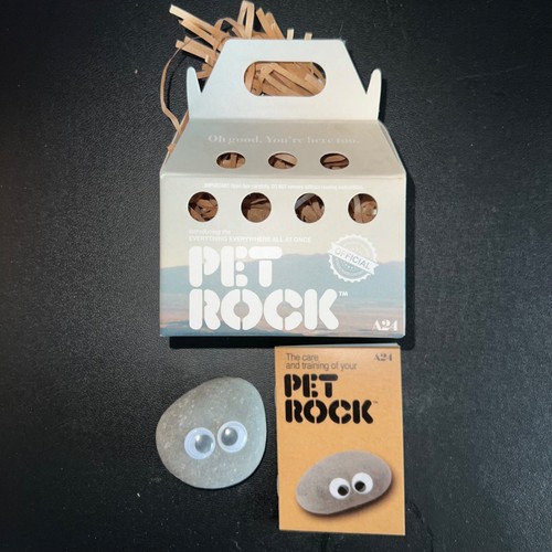 A24 Pet Rock Everything Everywhere All at Once Official Merchandise Sold Out - Picture 1 of 2
