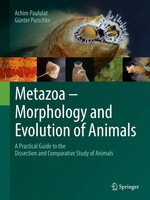 Metazoa - Morphology And Evolution Of Animals Achim Paululat (U. A.) Taschenbuch