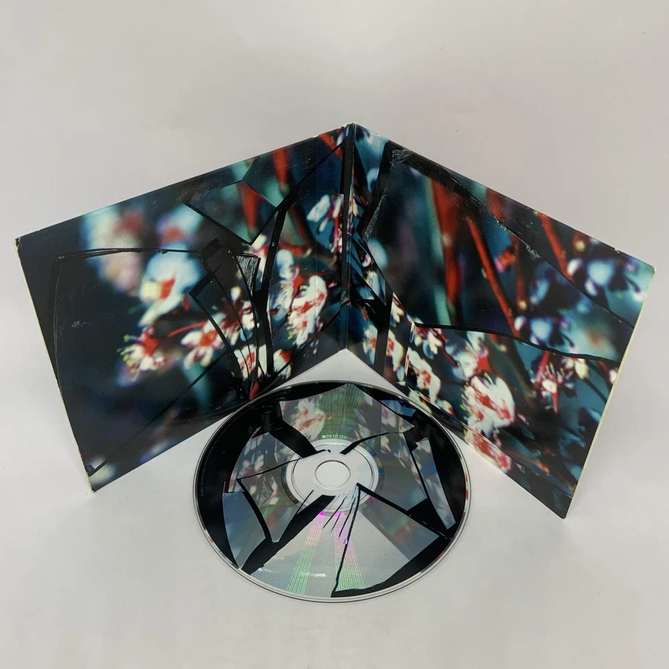 TV On The Radio NOVE TIPOS DE LUZ *Deluxe* CD Álbum COND Aceitável Postagem Grátis - Imagem 3 de 4