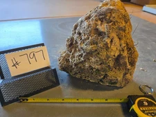 6.5" Medium Pumice Stone Floating Natural Rock Carnivorous Succulent Garden #797