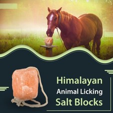 SALT LICK - Himalayan Salt Lick Block 5-6 lb with Rope For Horses, Deer  Pets