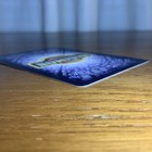Picture 13 of 14