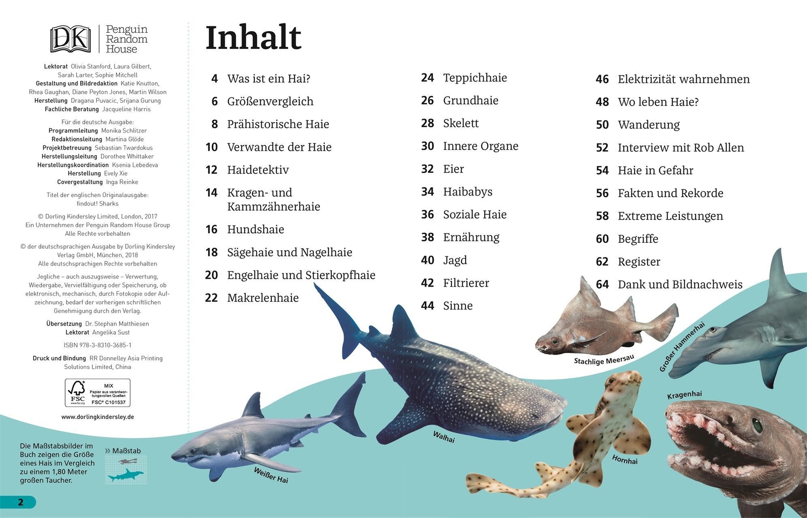 Thumbnail - Superchecker Haie | Sarah Fowler | Deutsch | Taschenbuch |