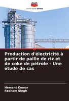 Hemant Kumar (U. A.) | Production D'éLectricité à Partir De Paille De Riz Et...
