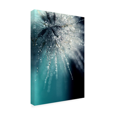 Trademark Fine Art Wrapped Canvas Wall Art - Beata Czyzowska Young Morning