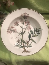 botanica villeroy boch teller