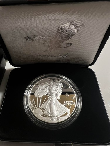 2025 Laser Engraved American Eagle One Ounce Silver Proof Coin SHIPS TODAY - Picture 2 of 3