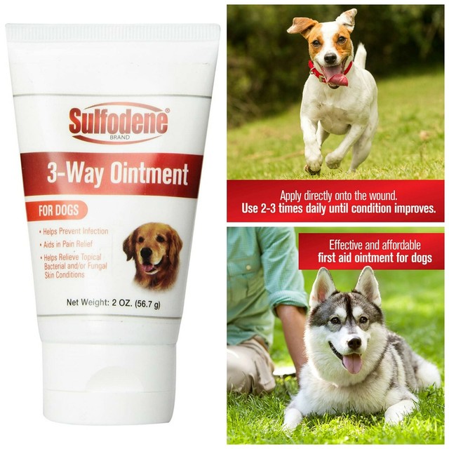 Wound Care Ointment for Dogs &amp; Horses Prevents Infection